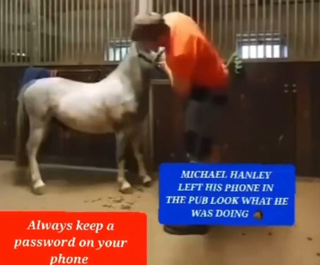 Michael Hanley Horse Video