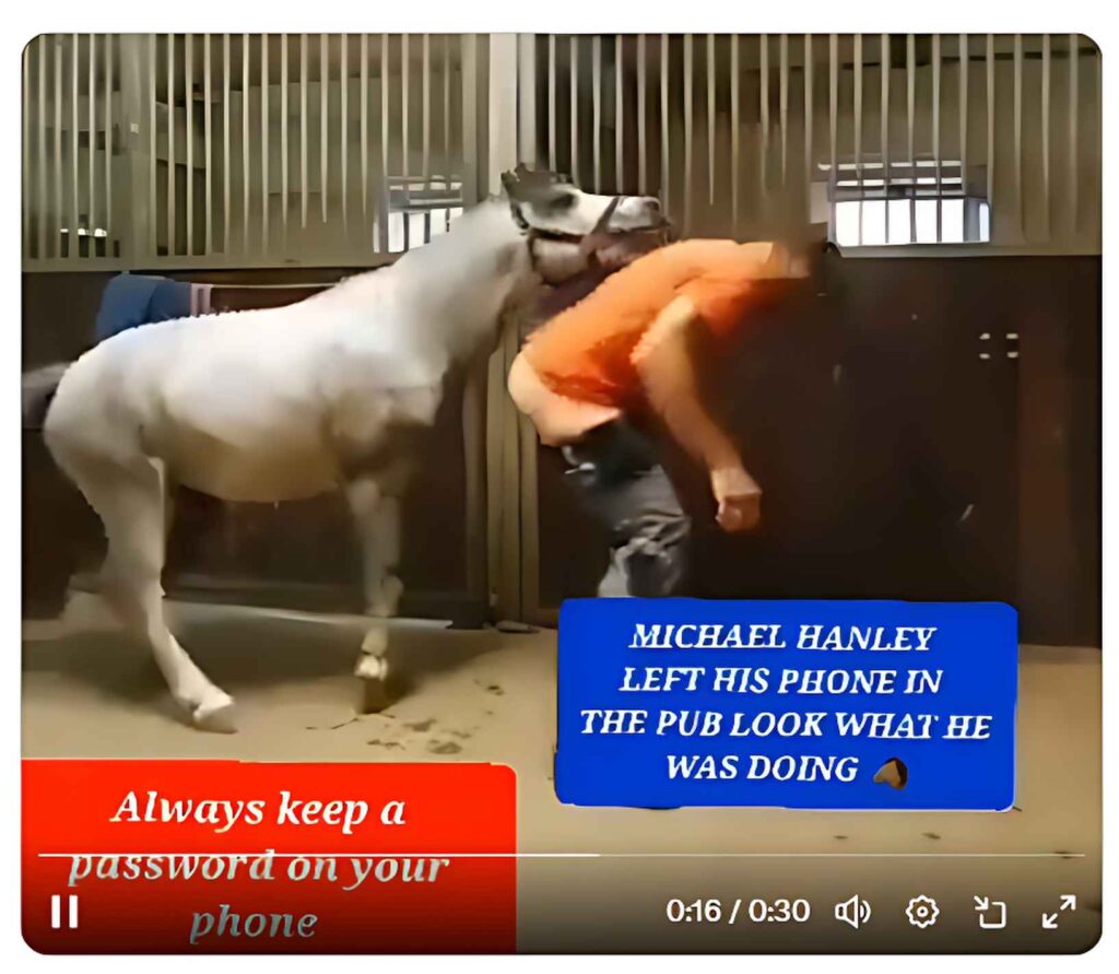 Viral spread of the Michael Hanley horse video across major social media platforms, notably Facebook.