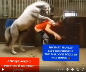Read more about the article The Michael Hanley Horse Video: A Viral Sensation Shaking the Internet
