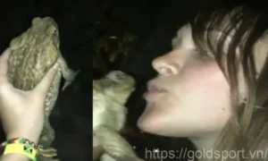 Read more about the article Frog Video Twitter Reddit: Women Gave birth to a Frog