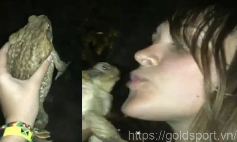 Frog Video Twitter Reddit: Women Gave birth to a Frog